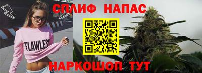 мдпв Дубна